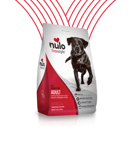 Dry Food for Dogs