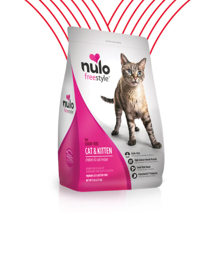 Dry Food for Cats