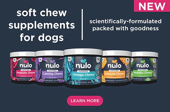 supplements ad graphic for dogs